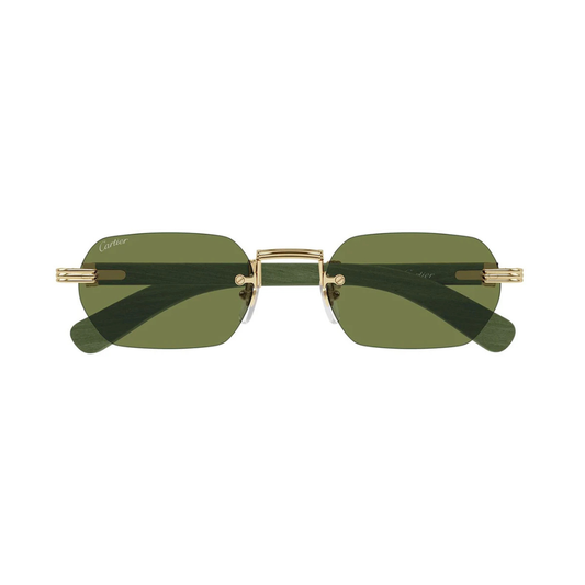 Cartier CT0362S 006