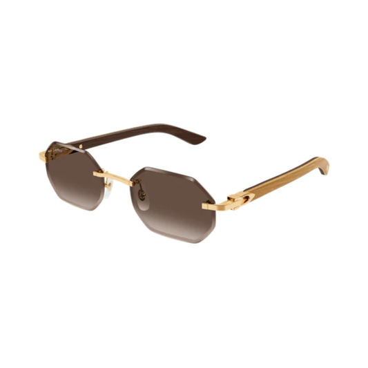 Cartier CT0362S 006