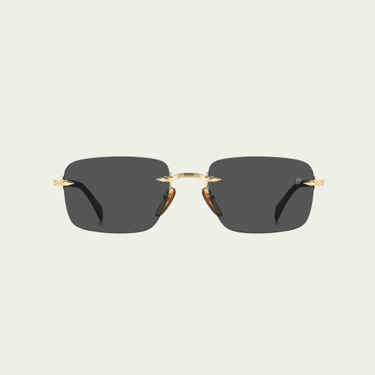 David Beckham DB1195/S