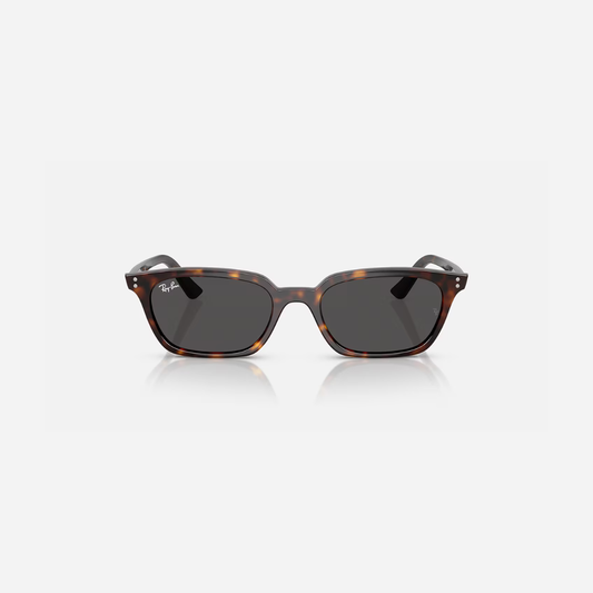 Ray-ban RB4456 zaya