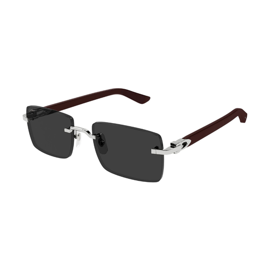 Cartier CT0579S 006