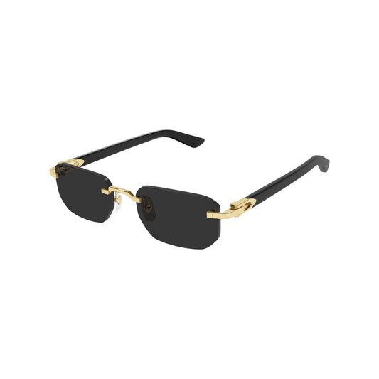 Cartier CT0622S 001