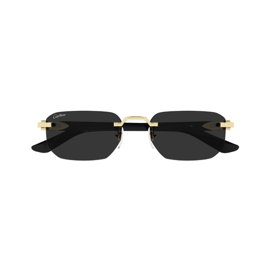 Cartier CT0622S 001