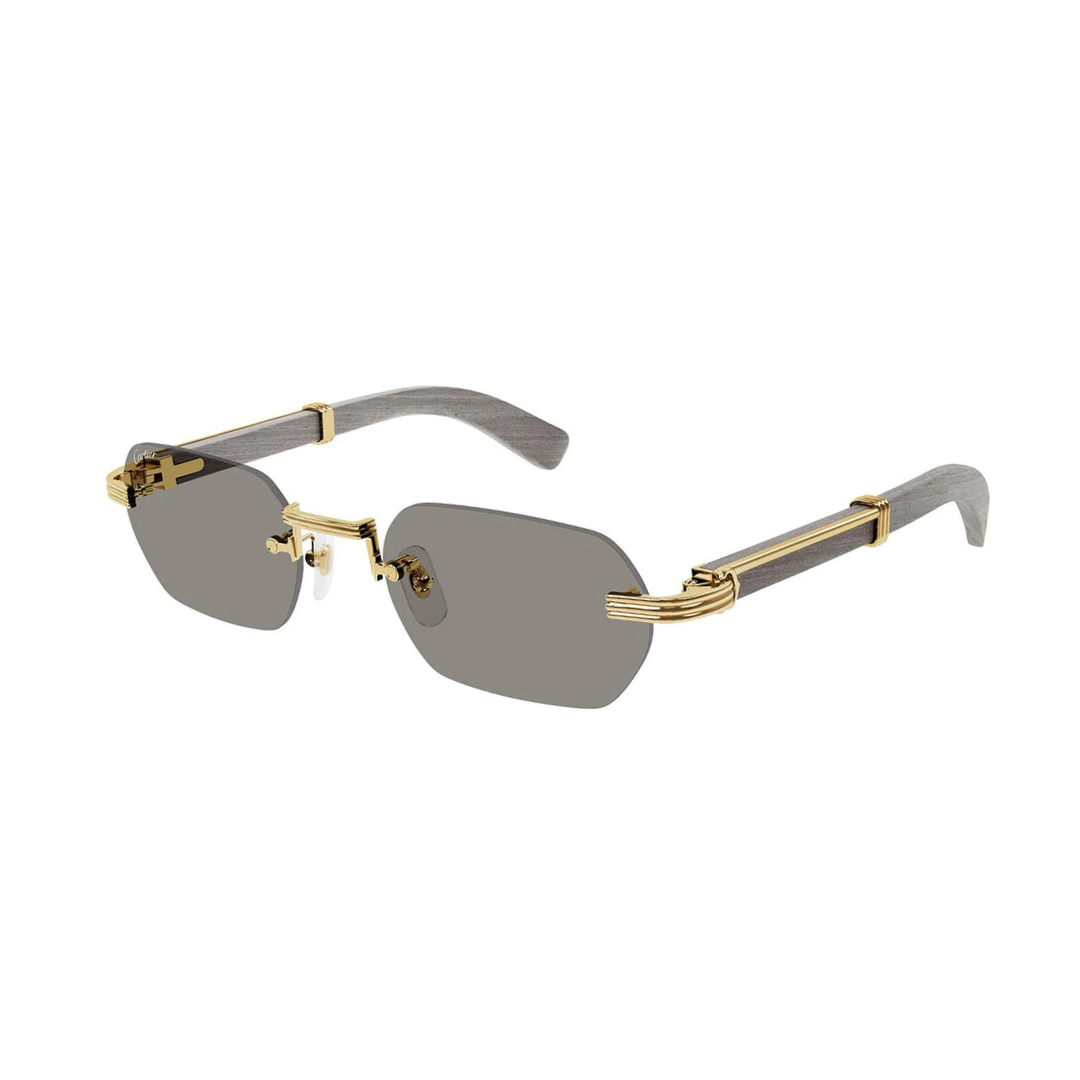 Cartier CT0362S 005