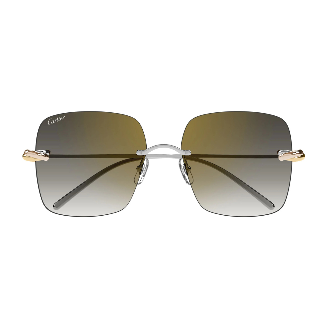 Cartier CT0508S 002