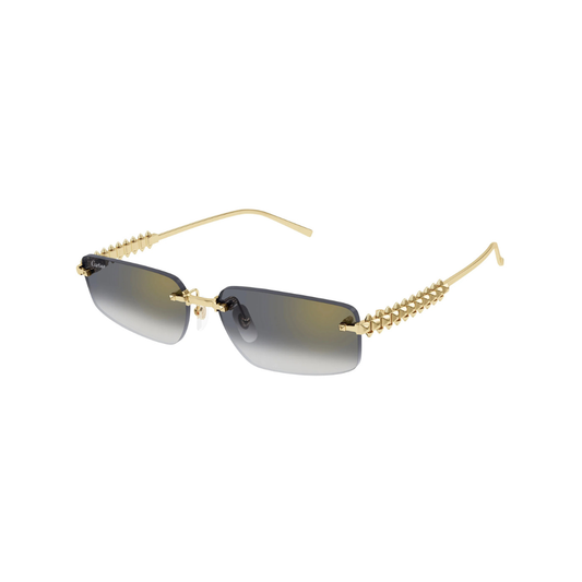 Cartier CT0544S 001