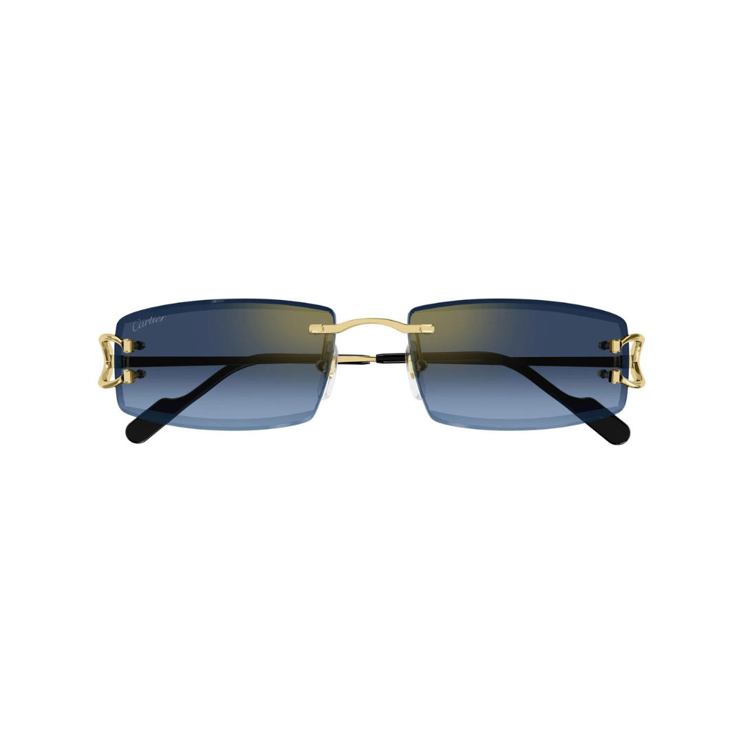 Cartier CT0465S 002