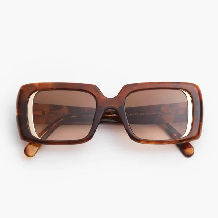 Andy Wolf X VISIONARI